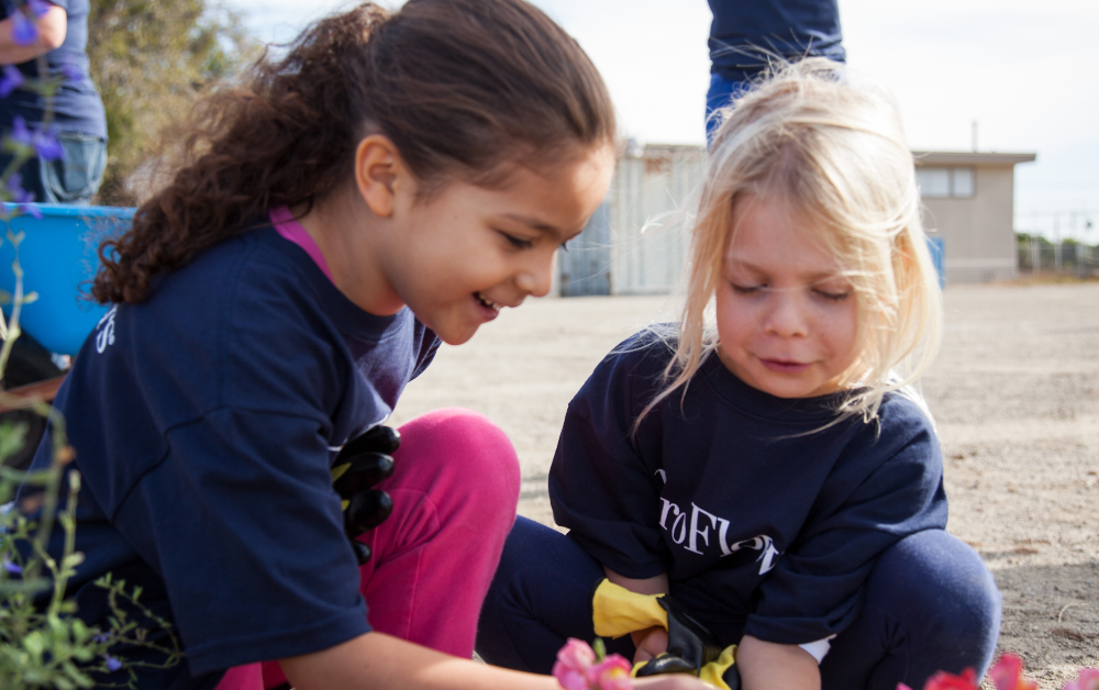 Two kids squatting down and looking at pink flowers.