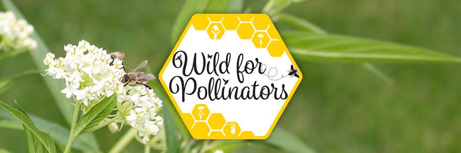 Wild for Pollinators
