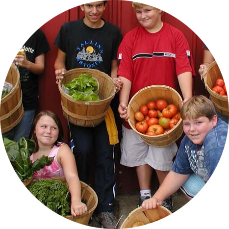 garden lesson plan school business