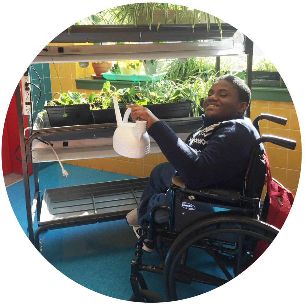 accessible garden for boy in wheelchair