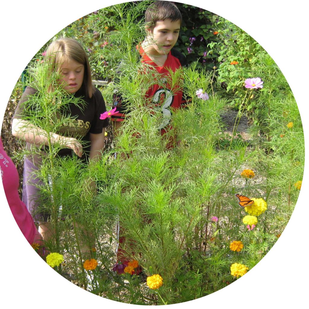 inclusive gardening