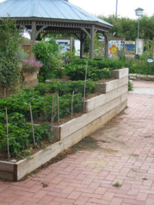 Garden How-to: Create an Accessible Garden for Those with Physical