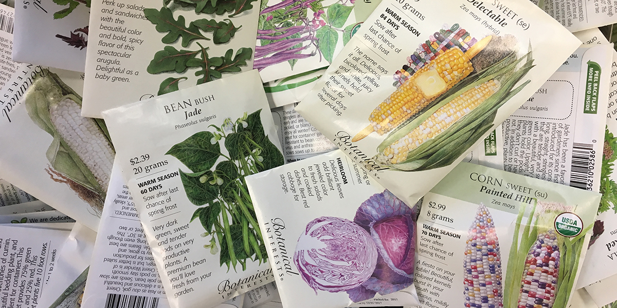 school garden tight budget