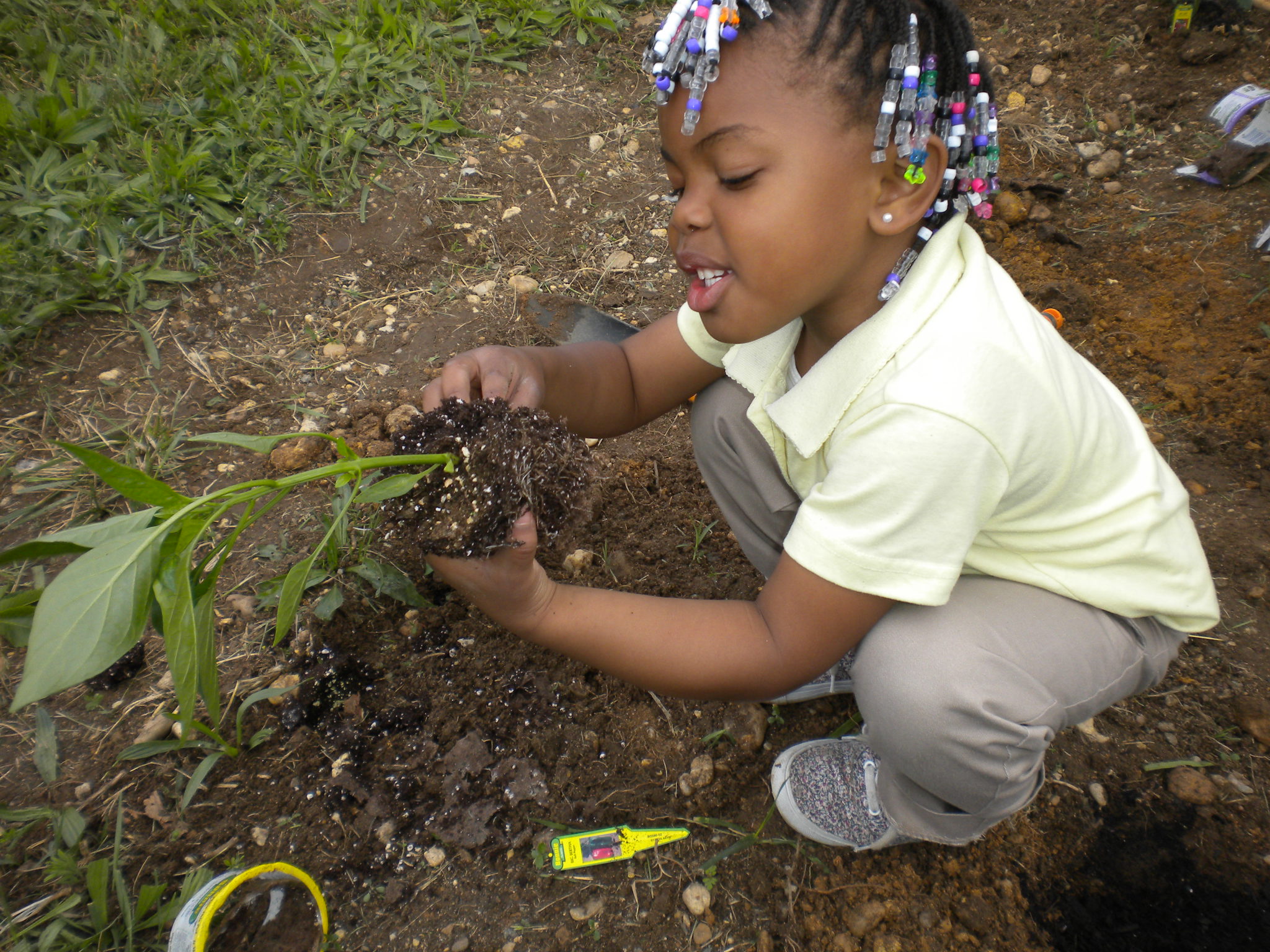 Garden To Give Kidsgardening Garden Lesson Plans