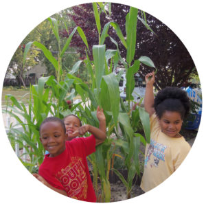 kids next to corn stalks