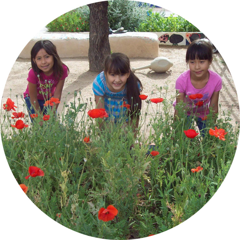 memorial day lesson plan