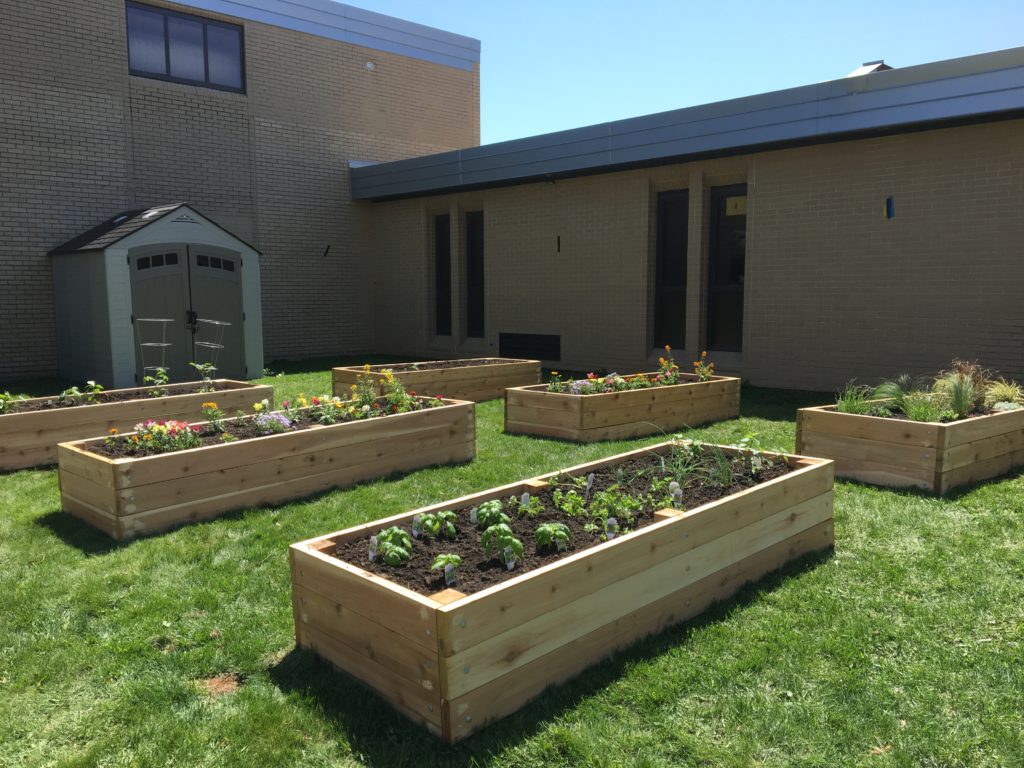 garden build