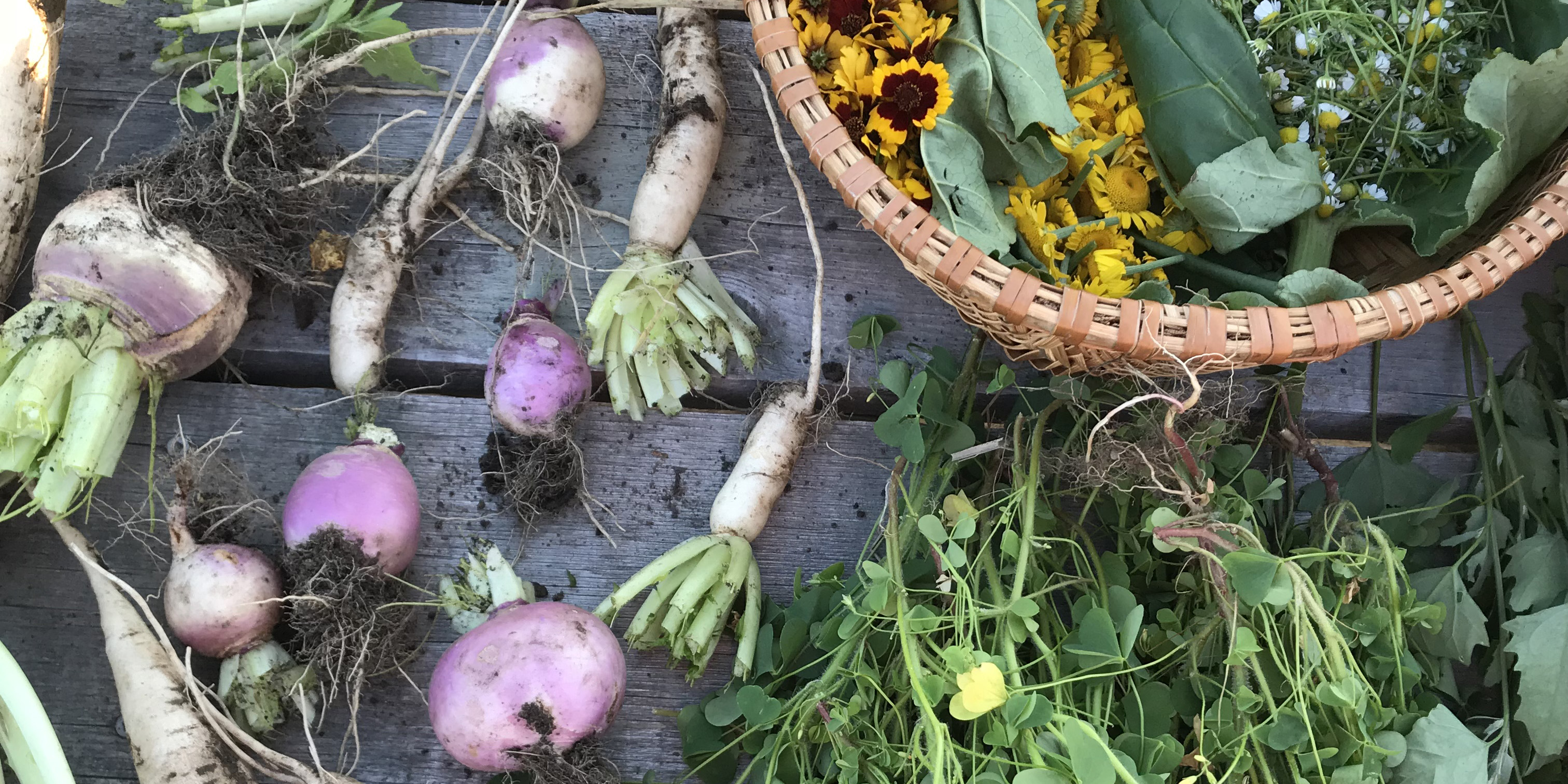 perfectionist gardener