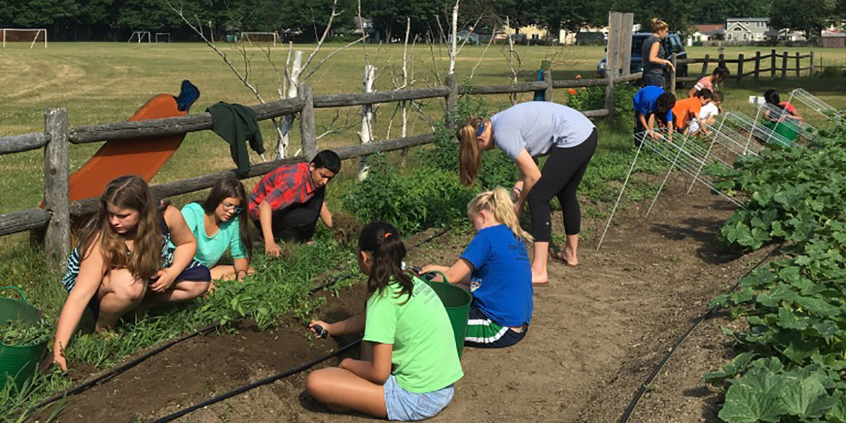 summergardenheader youth engagement in the garden all summer
