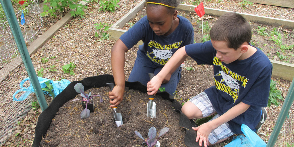 big bag bed garden question school garden questions answered