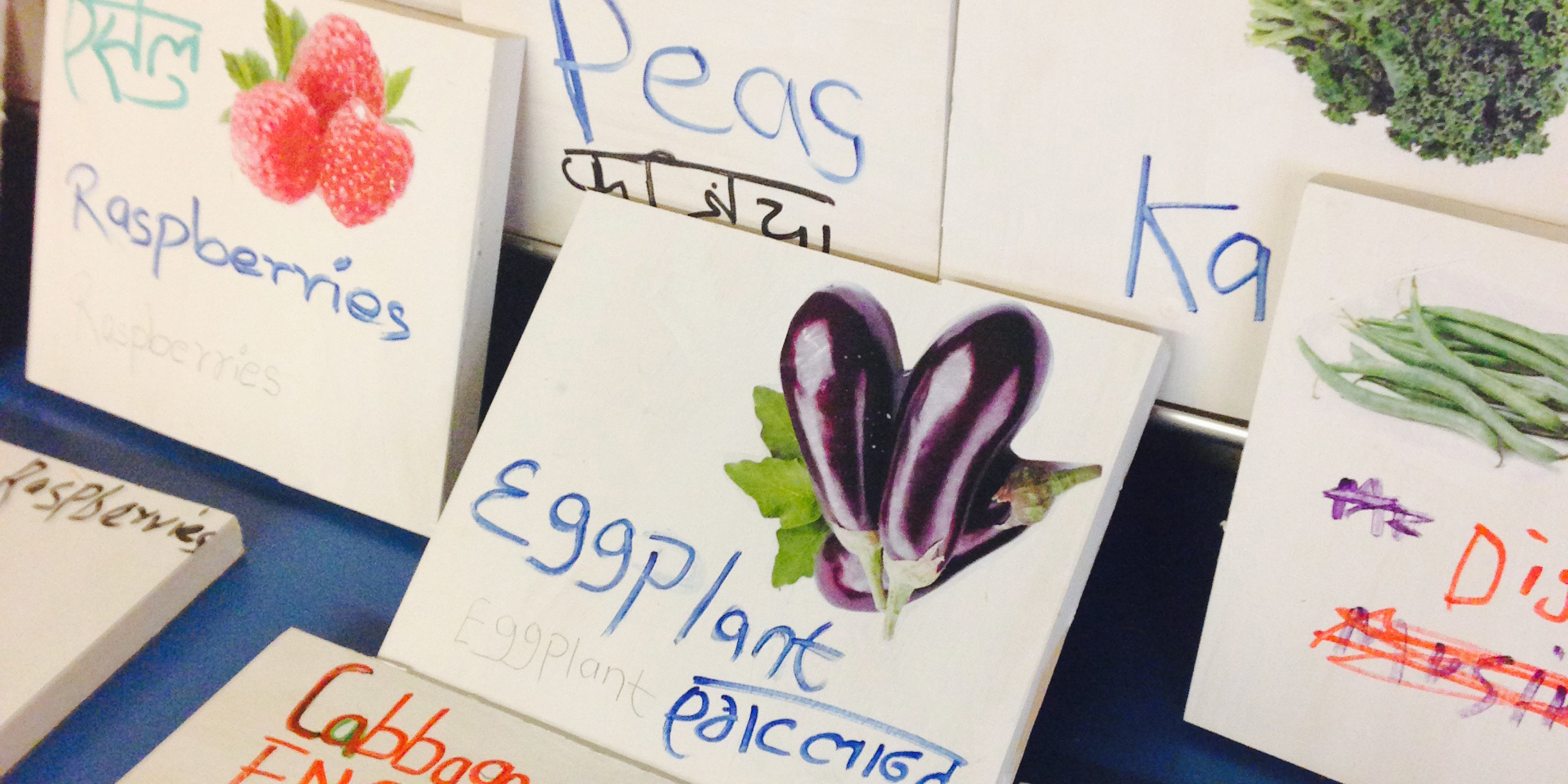 multi lingual school garden signs