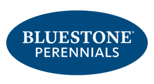 Bluestone