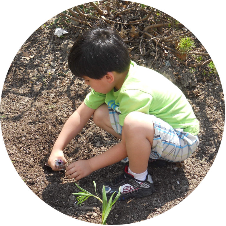 early childhood gardening activities