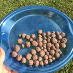 dried seed balls