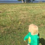seed ball throwing