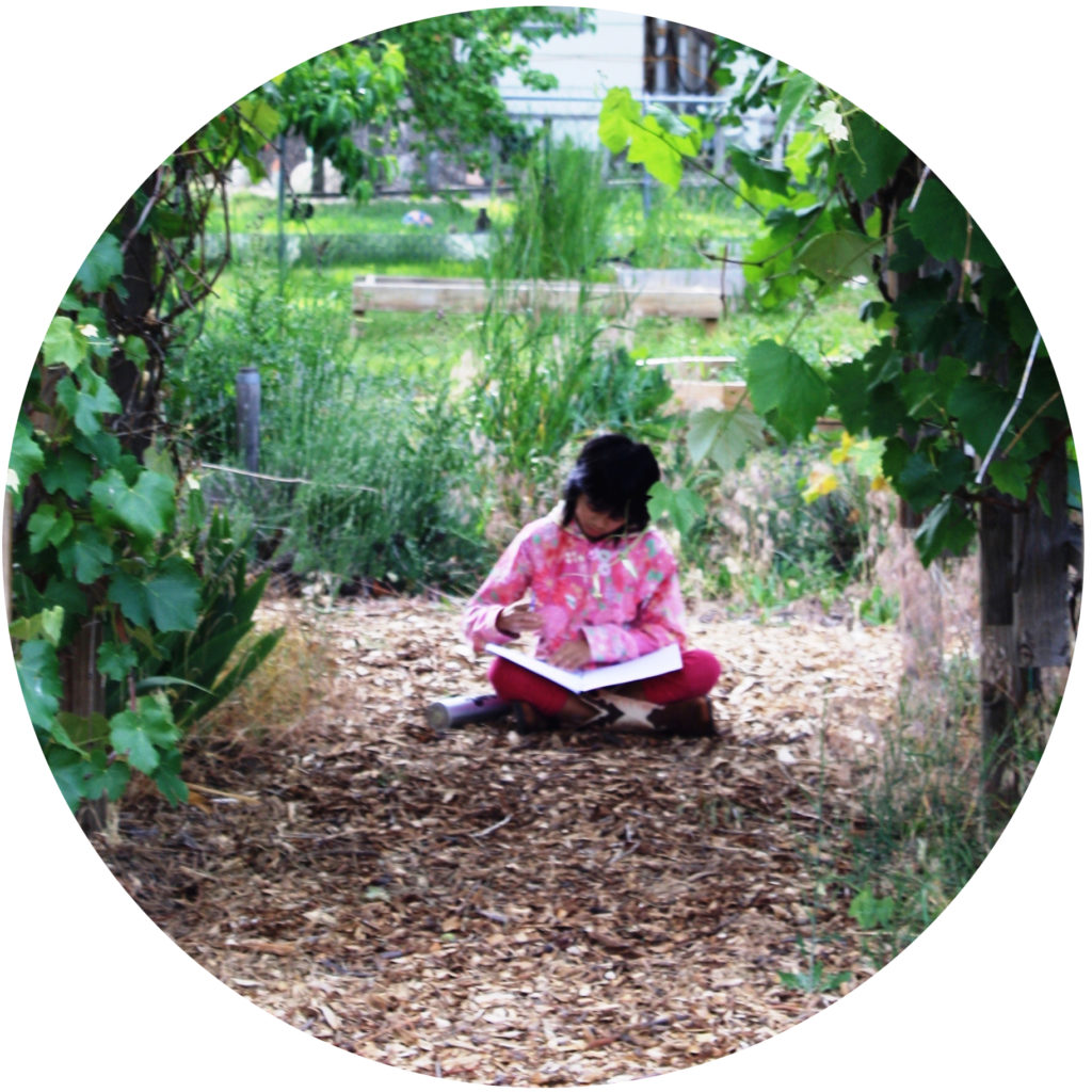 ece lessons, curriculum, and literature