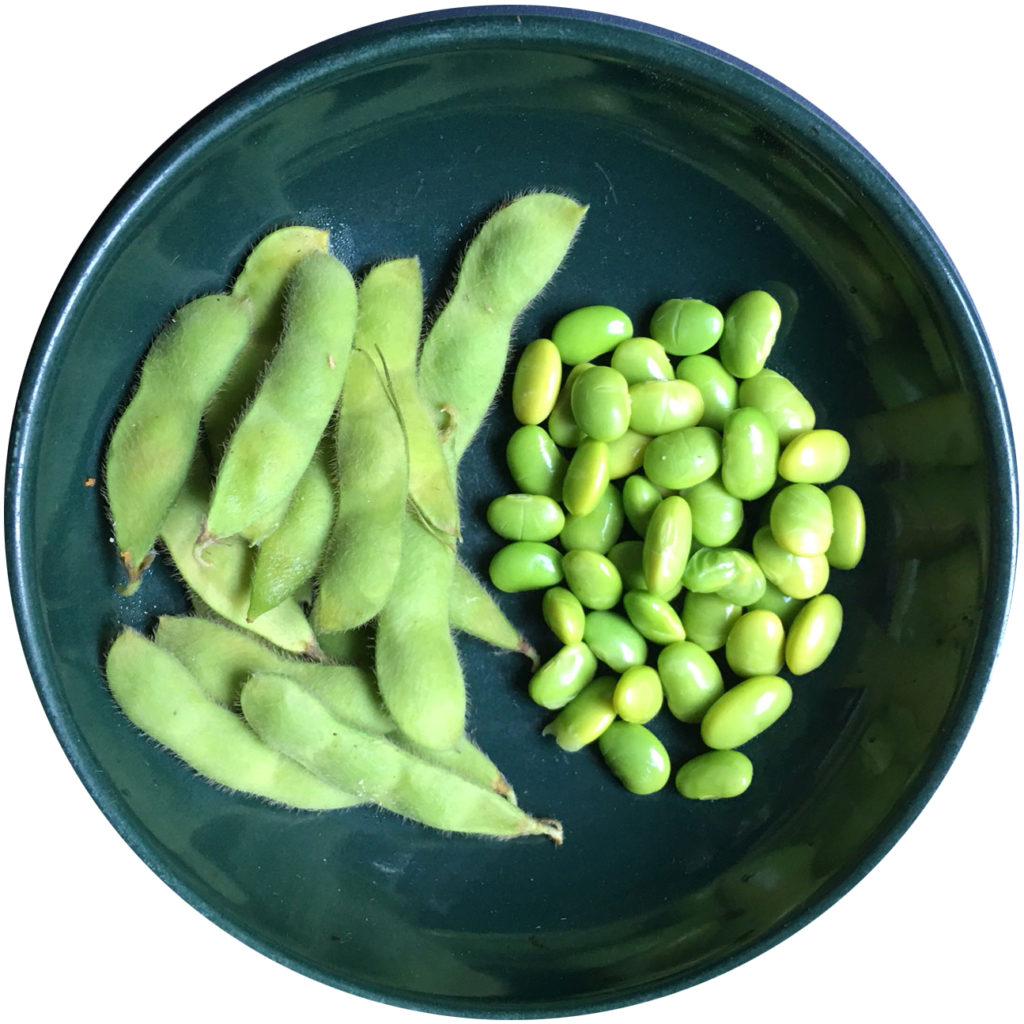 KidsGardening Growing Guides Edamame / Soybean Growing Guide