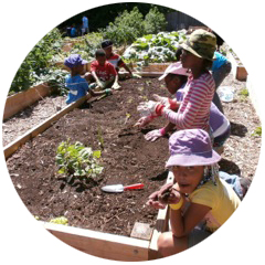 Youth Garden Support Organizations