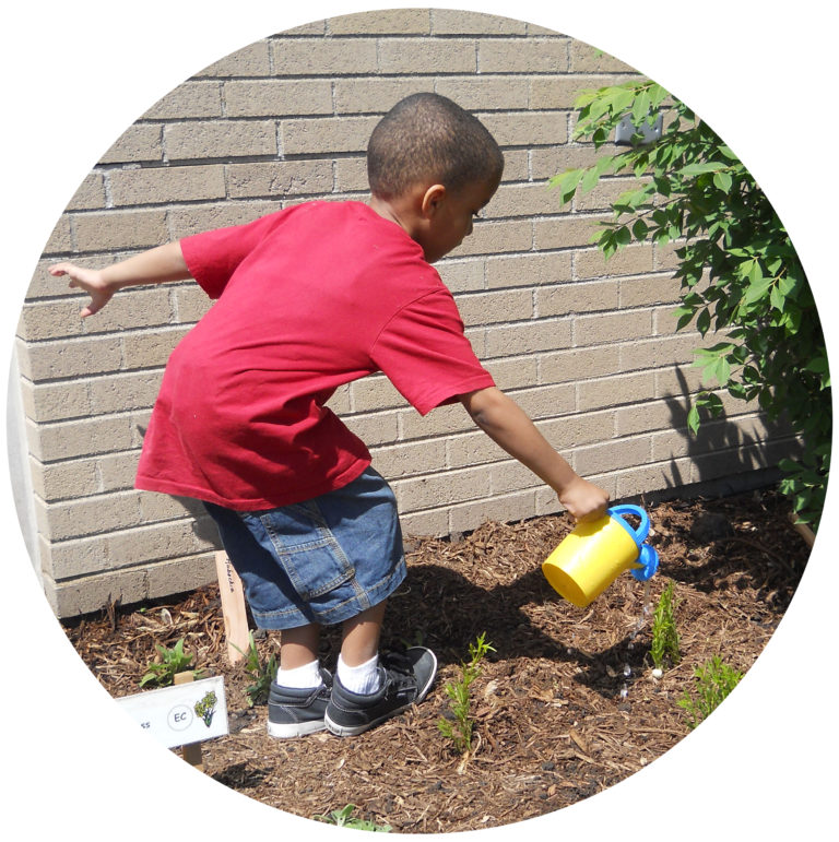 Young child waters a garden with a tiny hellow watering can
