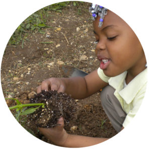 how-to garden with preschoolers