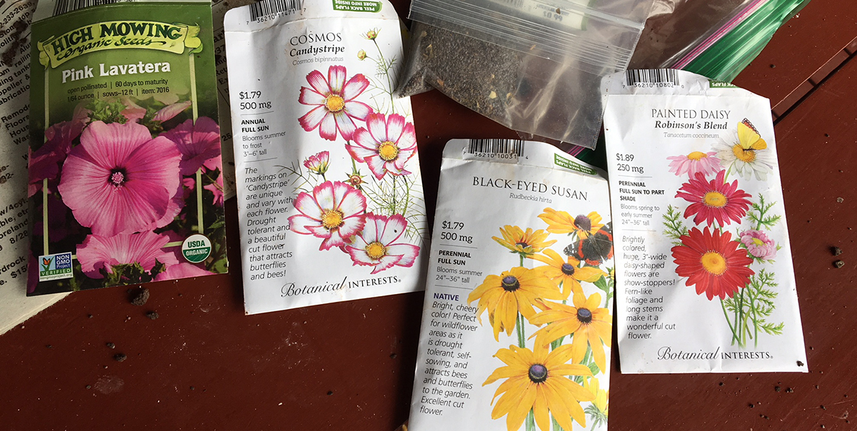 seed ball seed packets