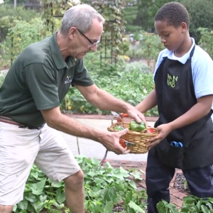 grants grant kidsgardening garden gro grassroots