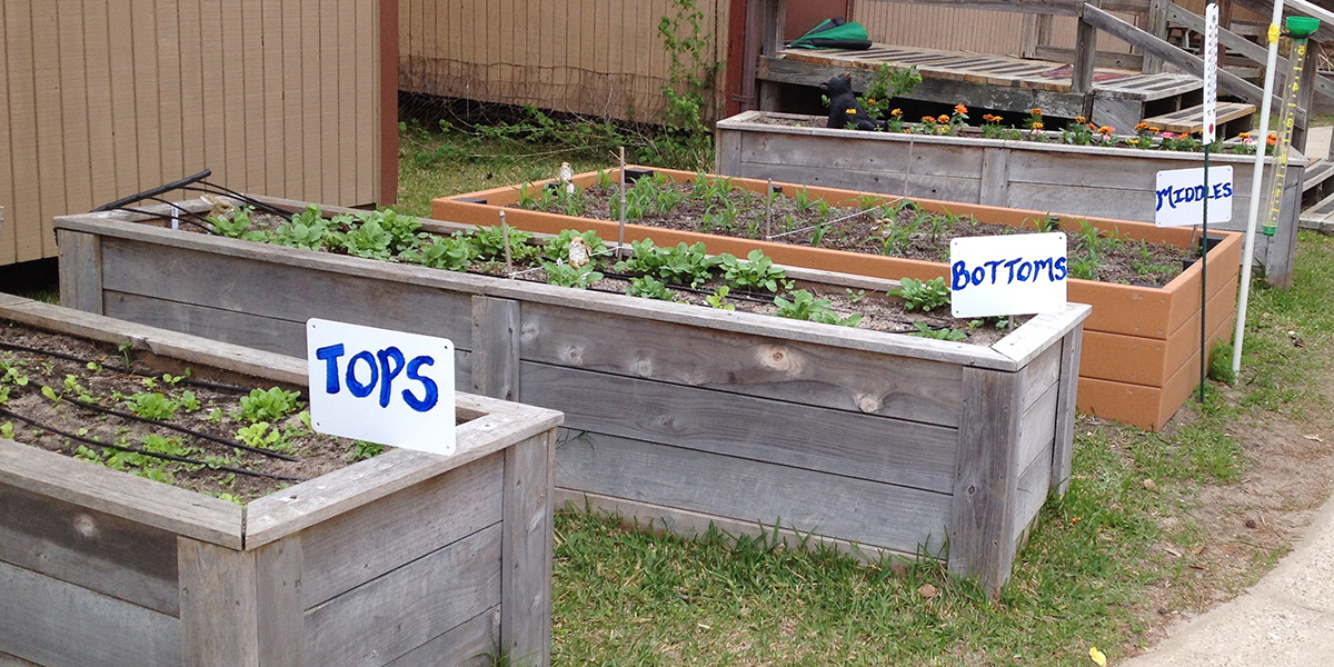 what does your garden grow