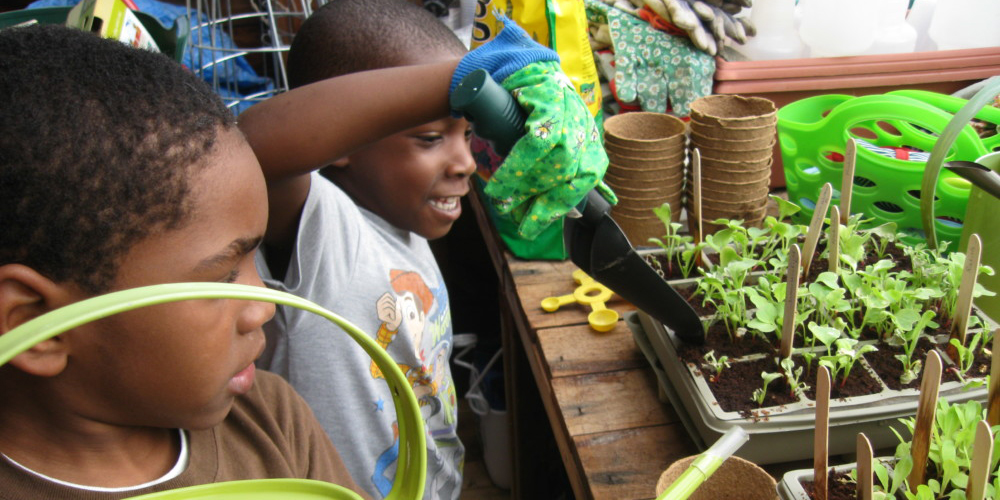 growing the youth garden movement