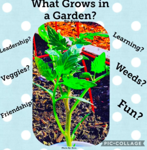EPiC Garden (K.S.)