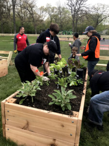 Planting the veggie garden