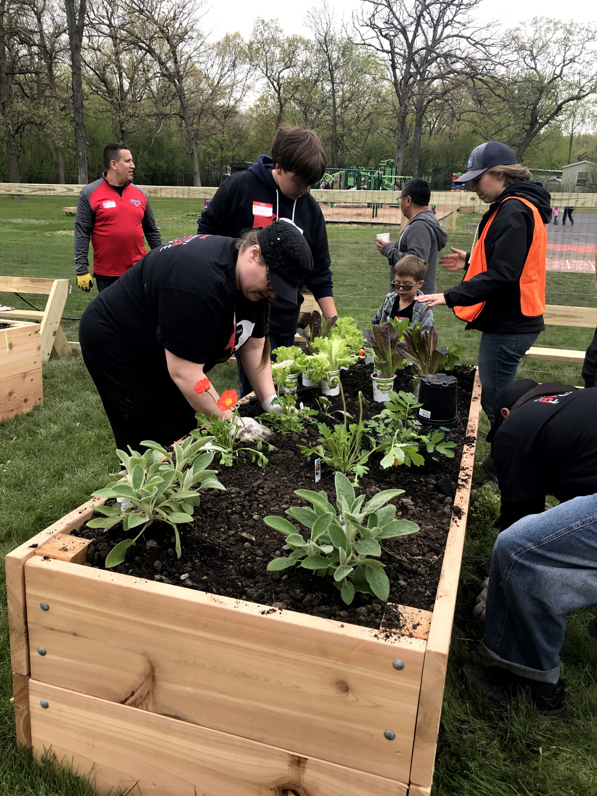 People planting in a brand new wooden raised bed