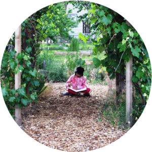 read in the garden