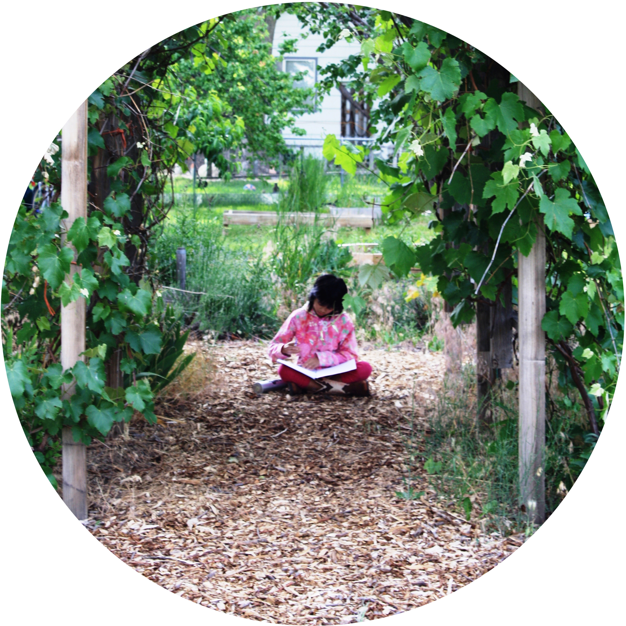 Reading In The Garden Kidsgardening