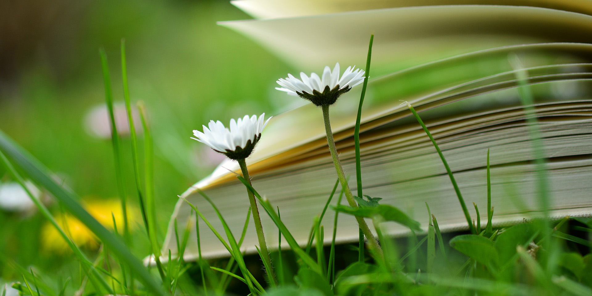 summer reading list summer reading list