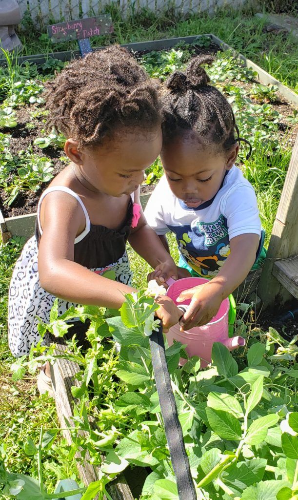 Summer Photo Contest - KidsGardening