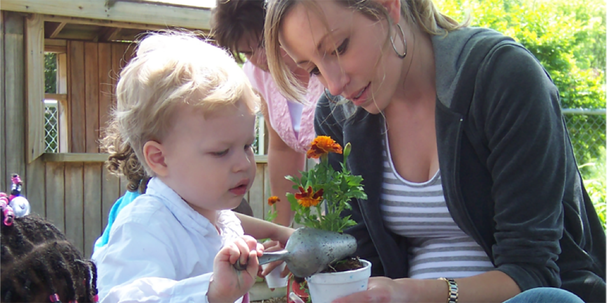 ECE gardens copy early childhood gardens