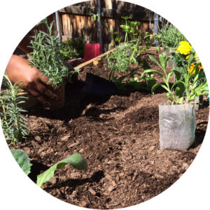 Youth Shelter Garden
