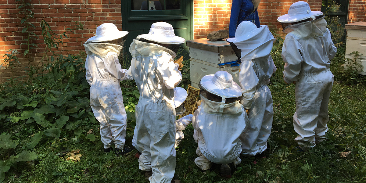 kids and bees kids and bees
