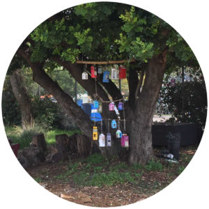 Luther Burbank garden program