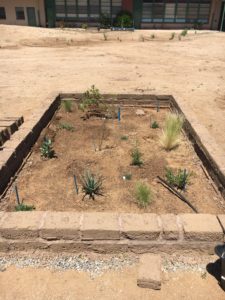 Kidsgardening Program Spotlight Inez Elementary High Desert Garden