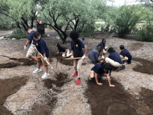 2020 Budding Botanist winners