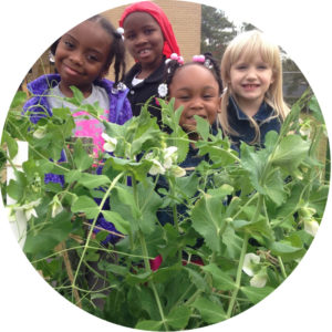 Budding Botanist 2020 Winners