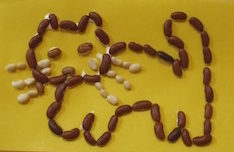 seed viewer