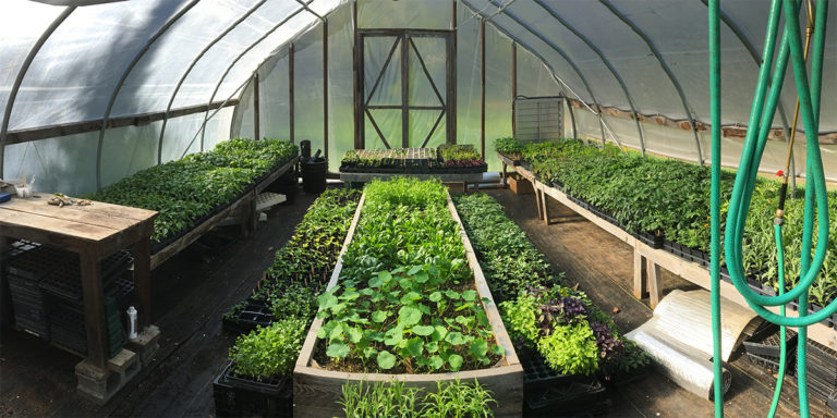 greenhouses