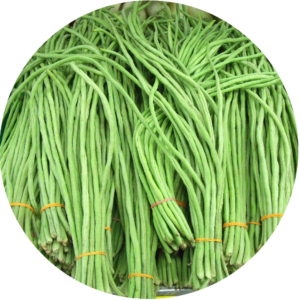 chinese noodle bean