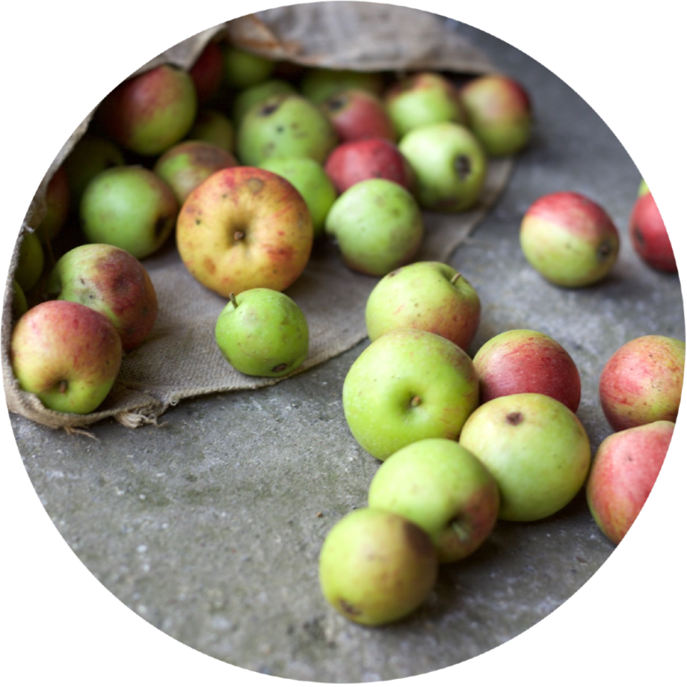 food waste