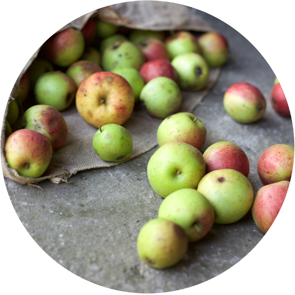 food waste
