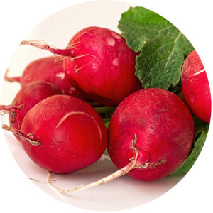 Radish