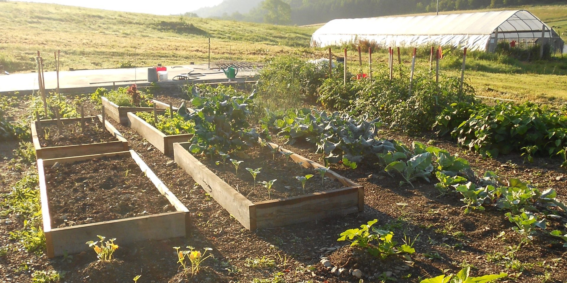 resources resources for garden educators