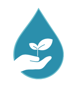 Exploring Hydroponics